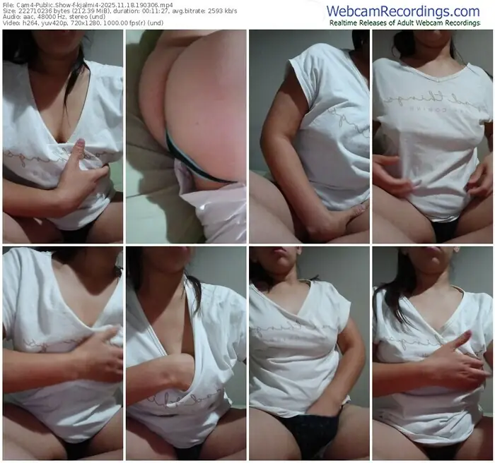 2025/11/18/cam4-kjalmi4-19-03-06