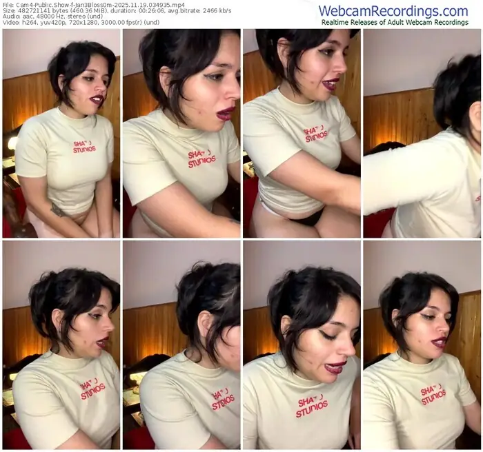 2025/11/19/cam4-jan3bloss0m-03-49-35