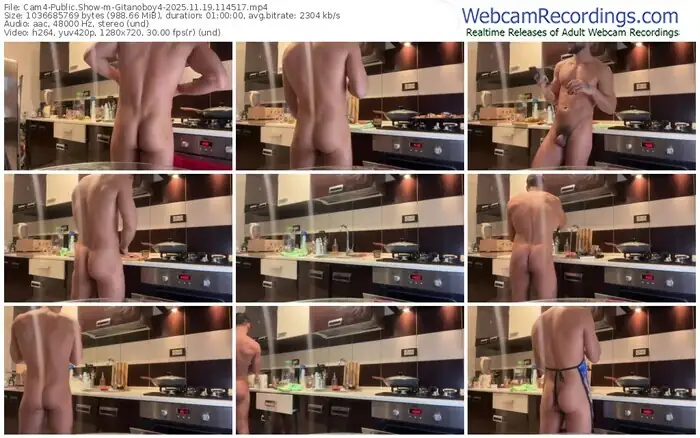 2025/11/19/cam4-gitanoboy4-11-45-17