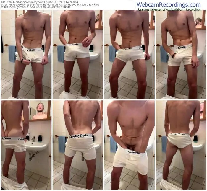 2025/11/19/cam4-toyboy247-11-44-09