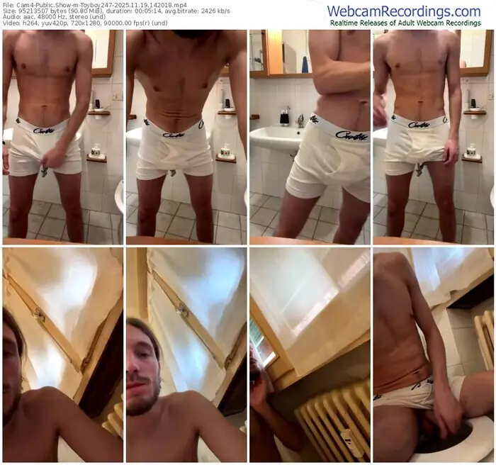 2025/11/19/cam4-toyboy247-14-20-18