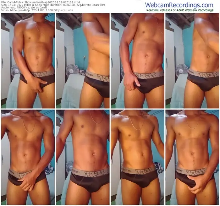 2025/11/19/cam4-leosilvaj-02-51-33