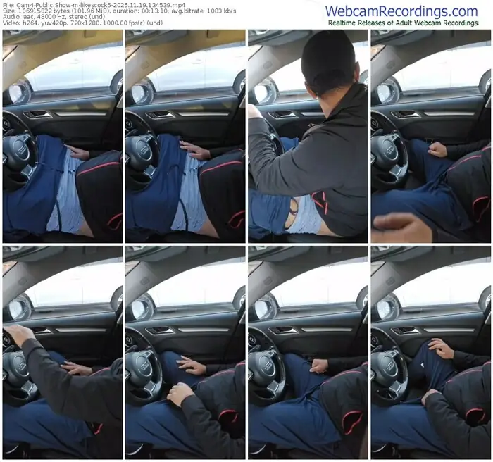 2025/11/19/cam4-likescock5-13-45-39