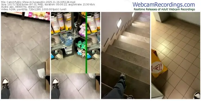 2025/11/19/cam4-lucapublic-00-51-28