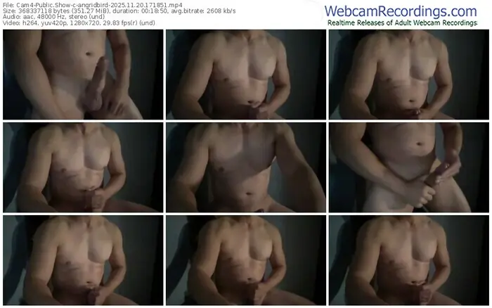 2025/11/20/cam4-angridbird-17-18-51