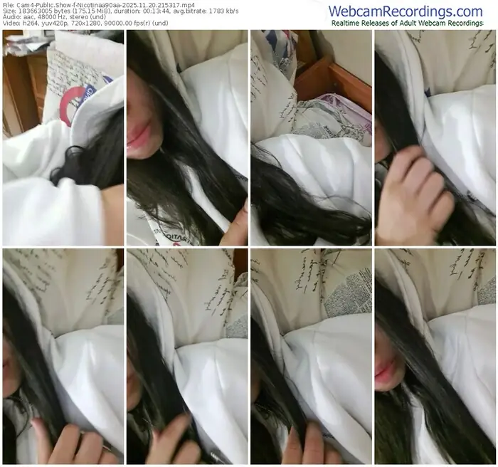 2025/11/20/cam4-nicotinaa90aa-21-53-17