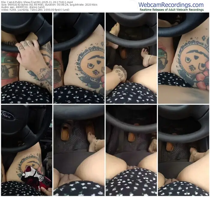 2025/11/20/cam4-luz091-17-16-11