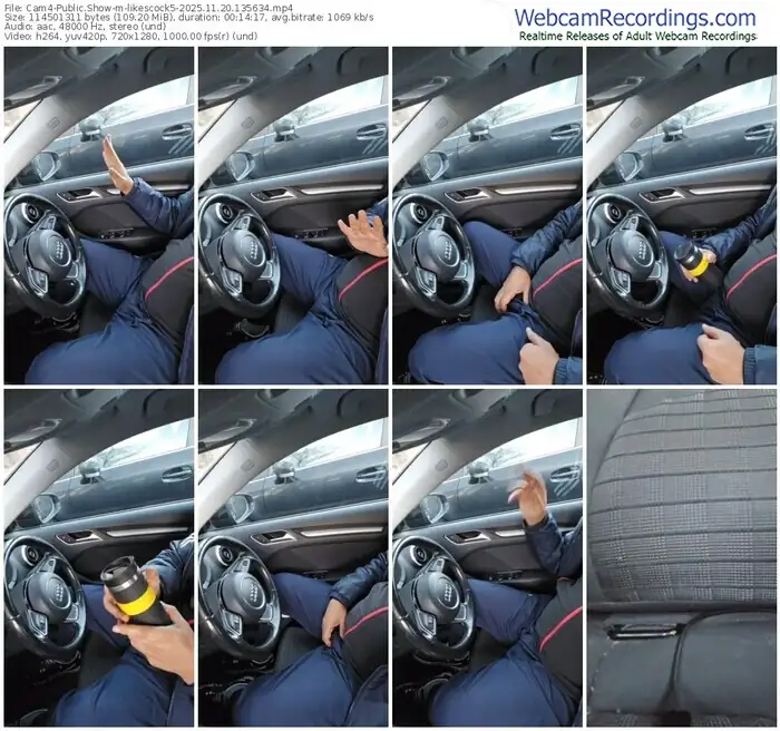 2025/11/20/cam4-likescock5-13-56-34