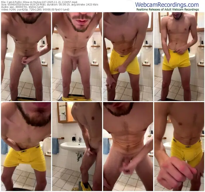 2025/11/21/cam4-toyboy247-11-30-57