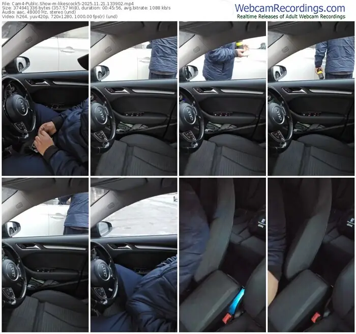 2025/11/21/cam4-likescock5-13-39-02