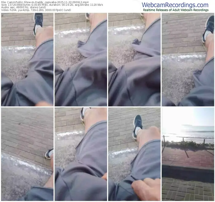 2025/11/22/cam4-daddy_capixaba-09-09-12