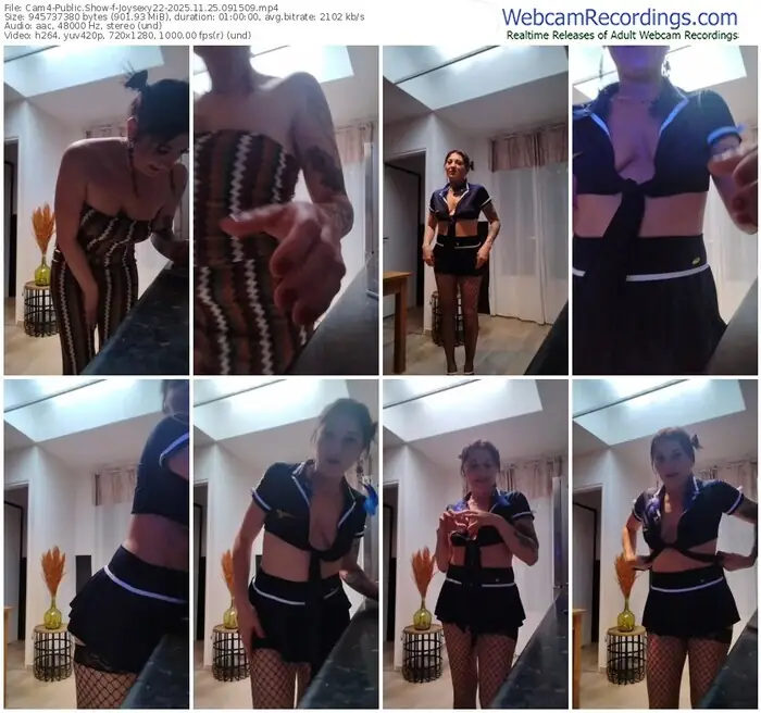 2025/11/25/cam4-joysexy22-09-15-09