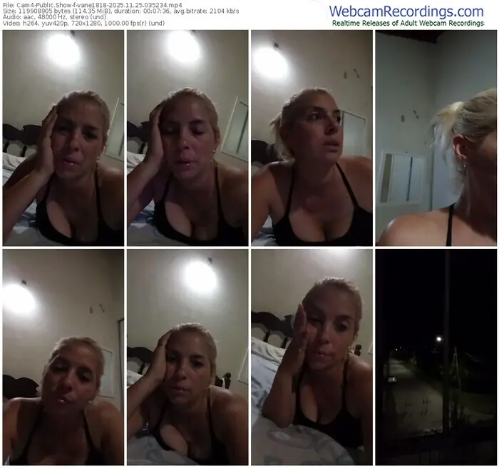 2025/11/25/cam4-vane1818-03-52-34