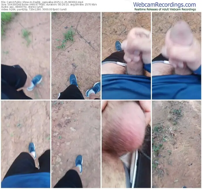2025/11/25/cam4-daddy_capixaba-08-30-02