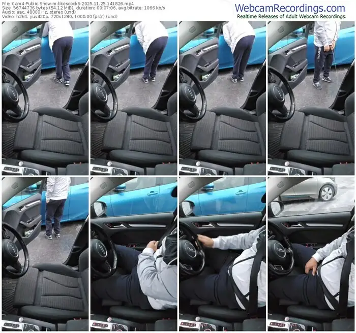 2025/11/25/cam4-likescock5-14-18-26