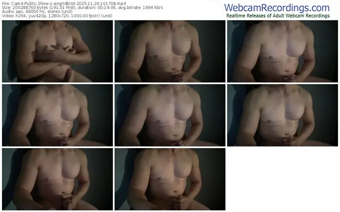 2025/11/26/cam4-angridbird-10-17-08