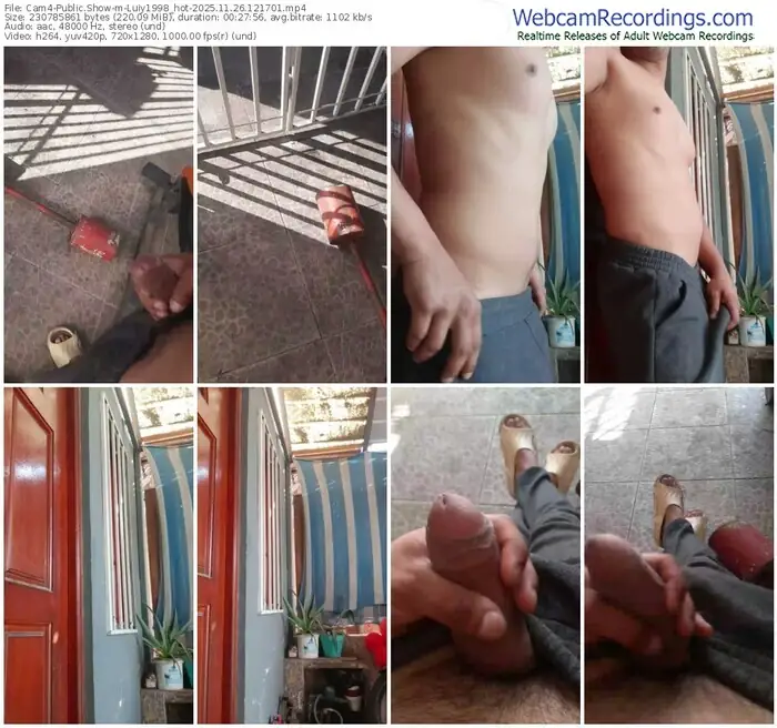 2025/11/26/cam4-luiy1998_hot-12-17-01