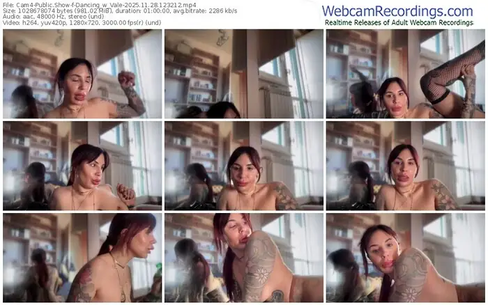 2025/11/28/cam4-dancing_w_vale-12-32-12