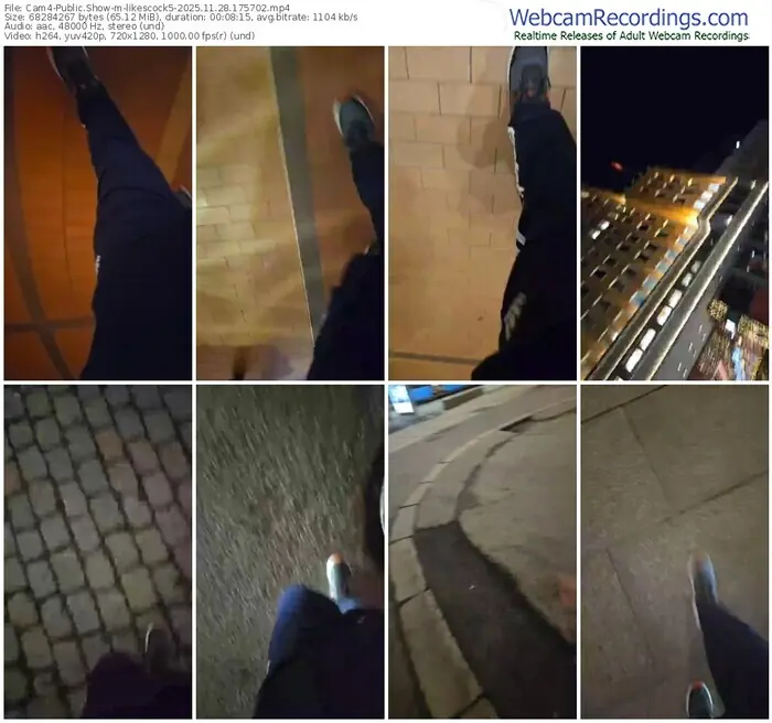 2025/11/28/cam4-likescock5-17-57-02