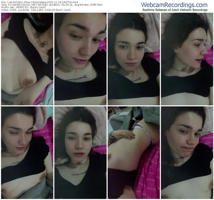 2025/11/29/cam4-eevitaaaa-04-07-54