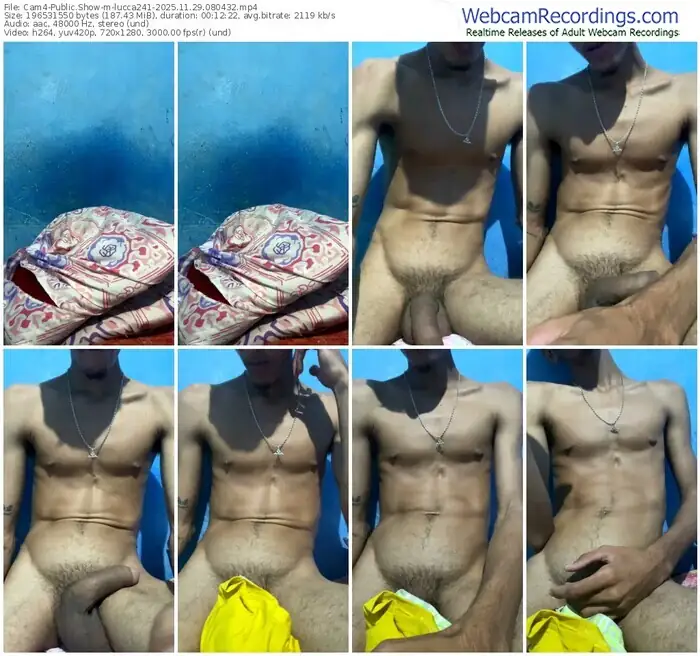 2025/11/29/cam4-lucca241-08-04-32