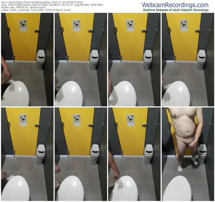 2025/11/30/cam4-likecamplay-04-22-37