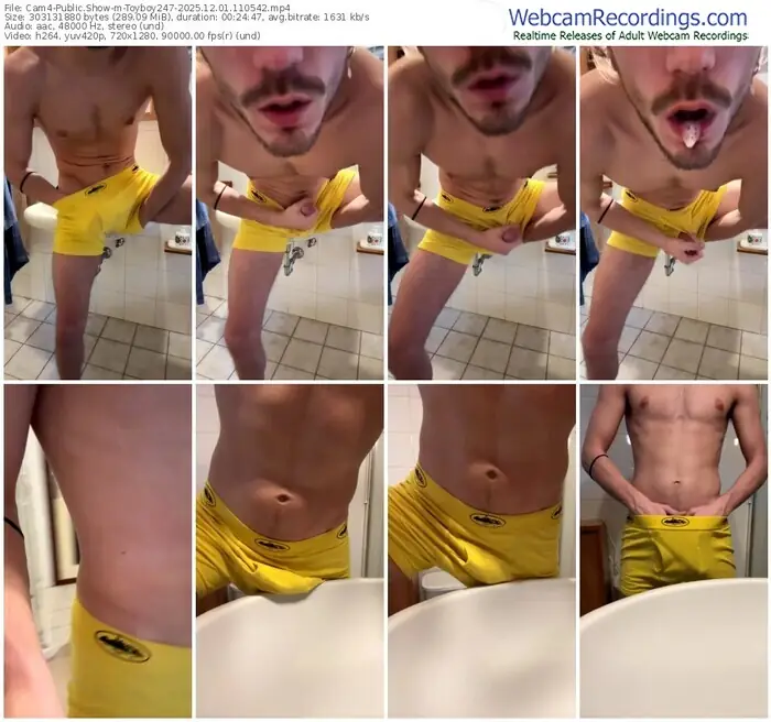 2025/12/01/cam4-toyboy247-11-05-42