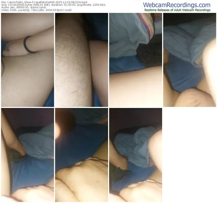 2025/12/03/cam4-casalfetiche993-08-22-24