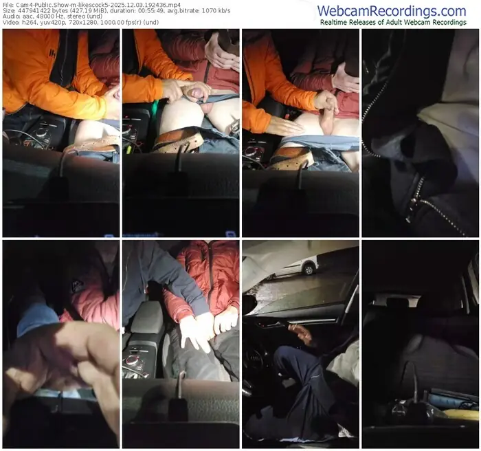 2025/12/03/cam4-likescock5-19-24-36