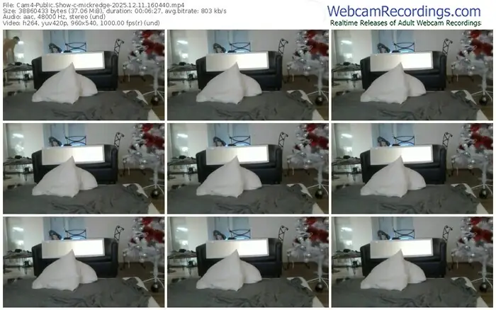 2025/12/11/cam4-mickredge-16-04-40