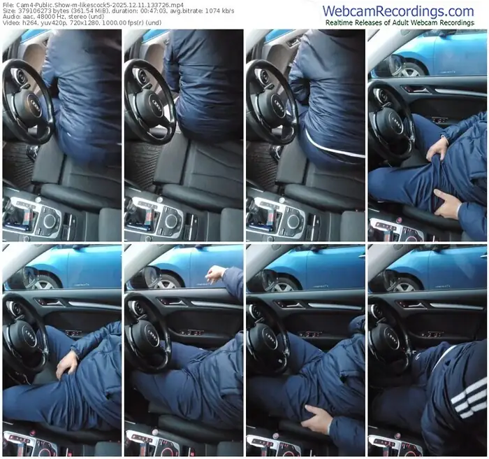 2025/12/11/cam4-likescock5-13-37-26