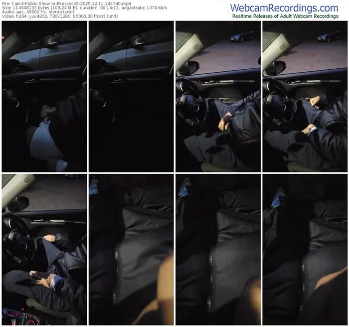 2025/12/11/cam4-likescock5-14-47-40