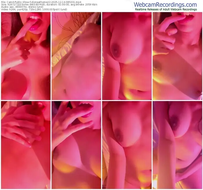 2025/12/14/cam4-aloneathome22-08-53-31