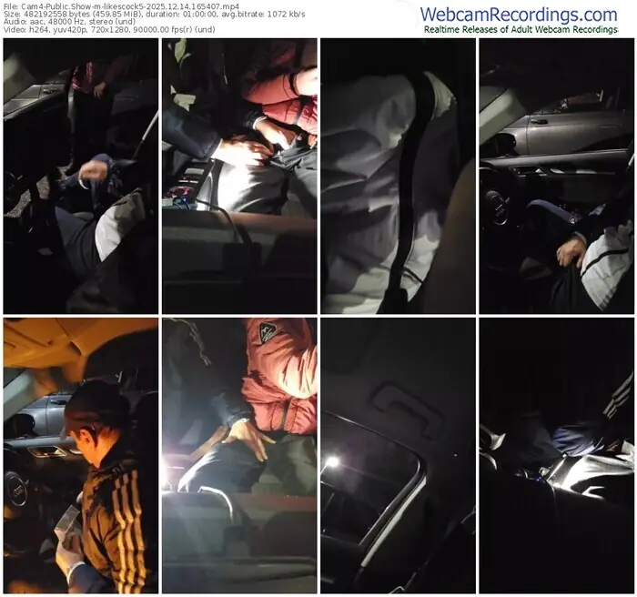 2025/12/14/cam4-likescock5-16-54-07