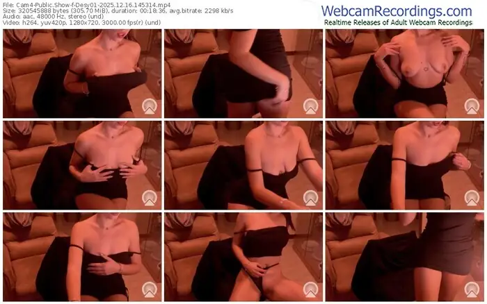 2025/12/16/cam4-desy01-14-53-14