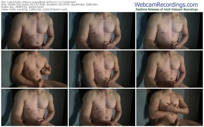 2025/12/17/cam4-angridbird-17-22-29