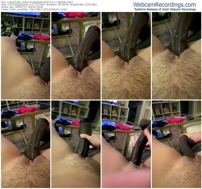 2025/12/17/cam4-laladada-08-49-31