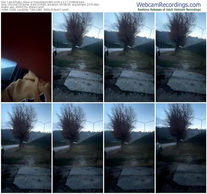 2025/12/17/cam4-danyblack1985-15-48-08