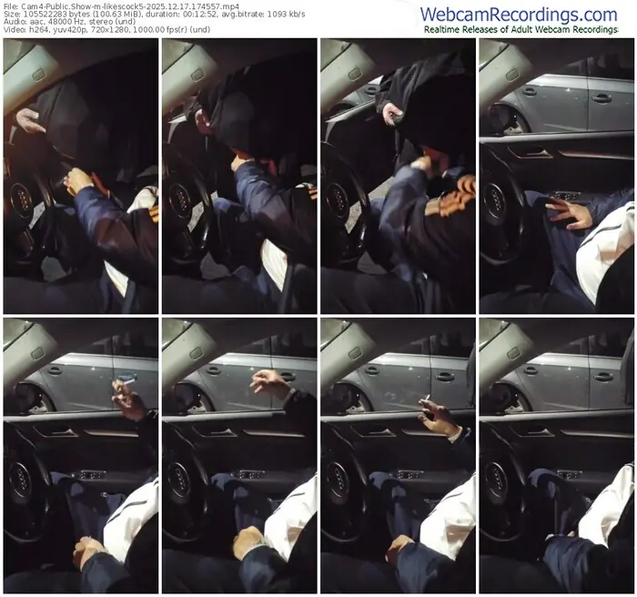 2025/12/17/cam4-likescock5-17-45-57