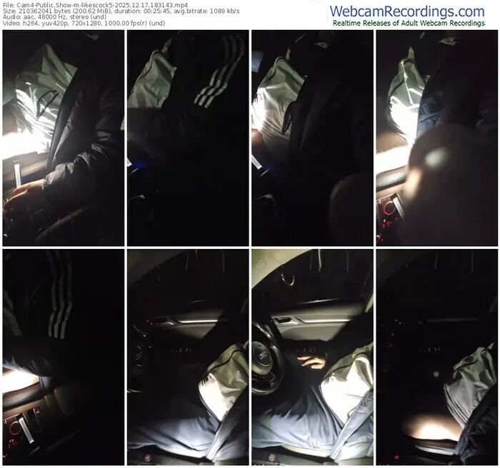 2025/12/17/cam4-likescock5-18-31-43