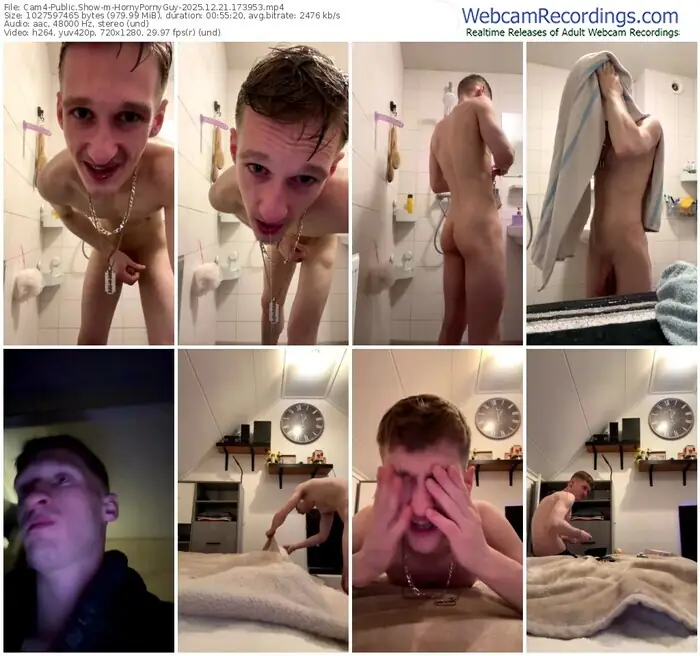 2025/12/21/cam4-hornypornyguy-17-39-53