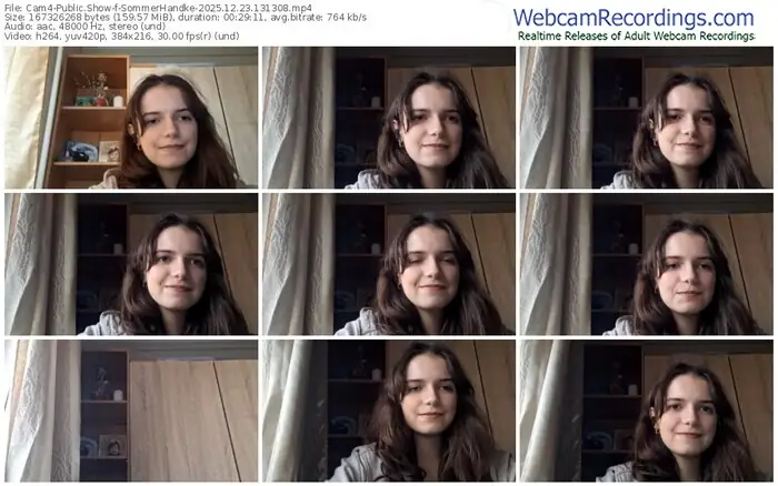 2025/12/23/cam4-sommerhandke-13-13-08