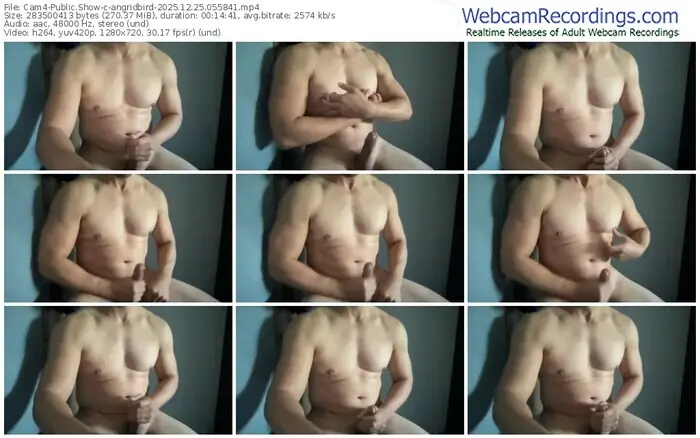 2025/12/25/cam4-angridbird-05-58-41