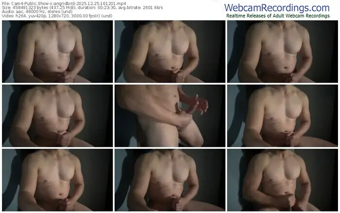 2025/12/25/cam4-angridbird-16-12-01
