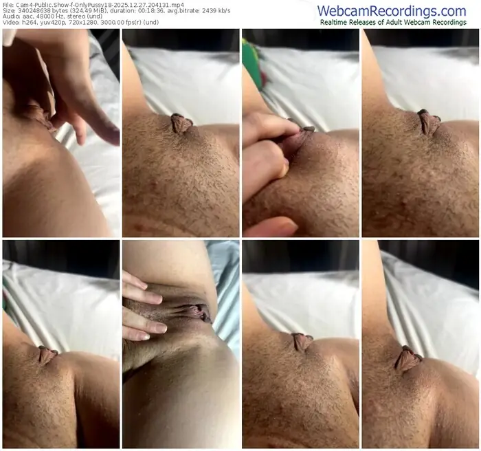 2025/12/27/cam4-onlypussy18-20-41-31