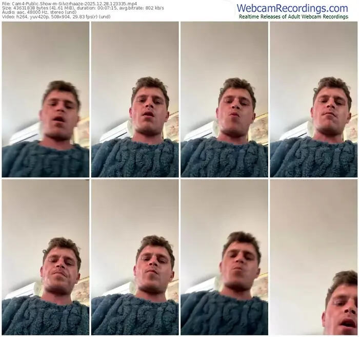 2025/12/28/cam4-silvzrhaaze-12-33-35
