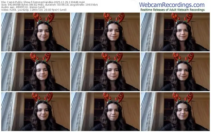 2025/12/29/cam4-sommerhandke-13-34-48