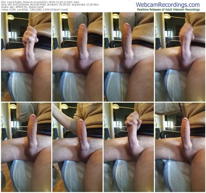 2025/12/29/cam4-nicooo2011-11-34-21