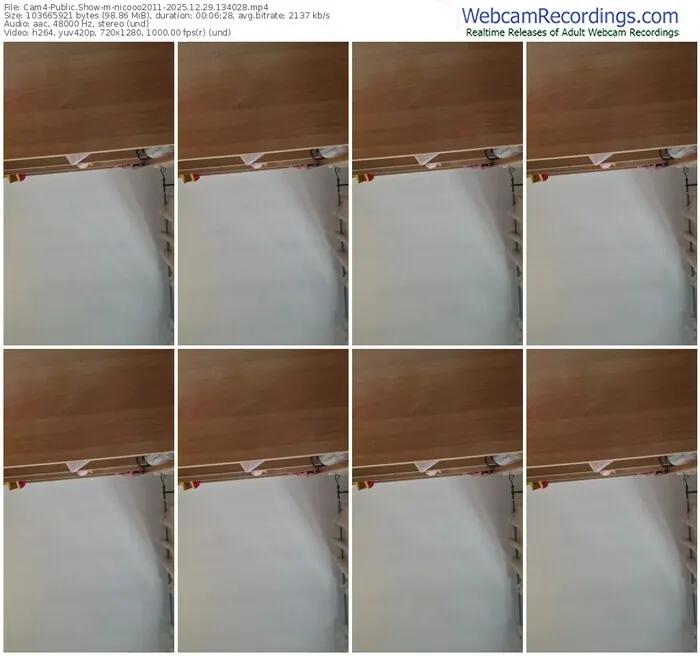 2025/12/29/cam4-nicooo2011-13-40-28