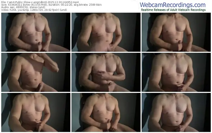 2025/12/30/cam4-angridbird-16-49-52